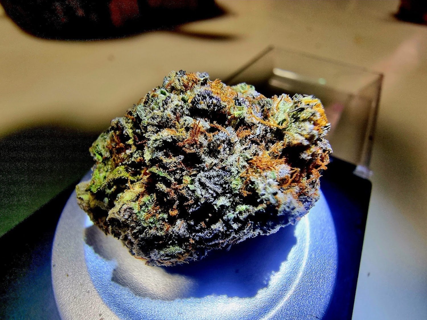 O.G. Grower Lab
