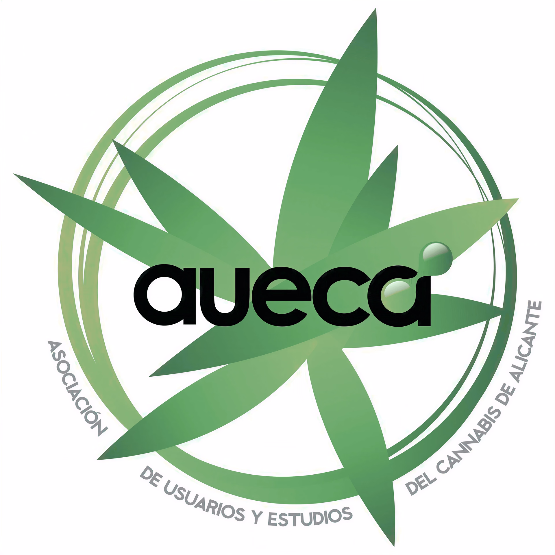 Каннабис-социальный клуб Alacannabis в Alicante логотип