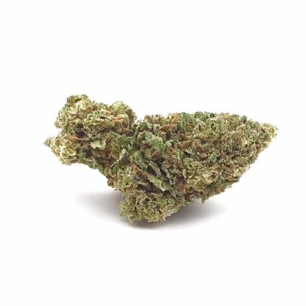 Cannasaur
