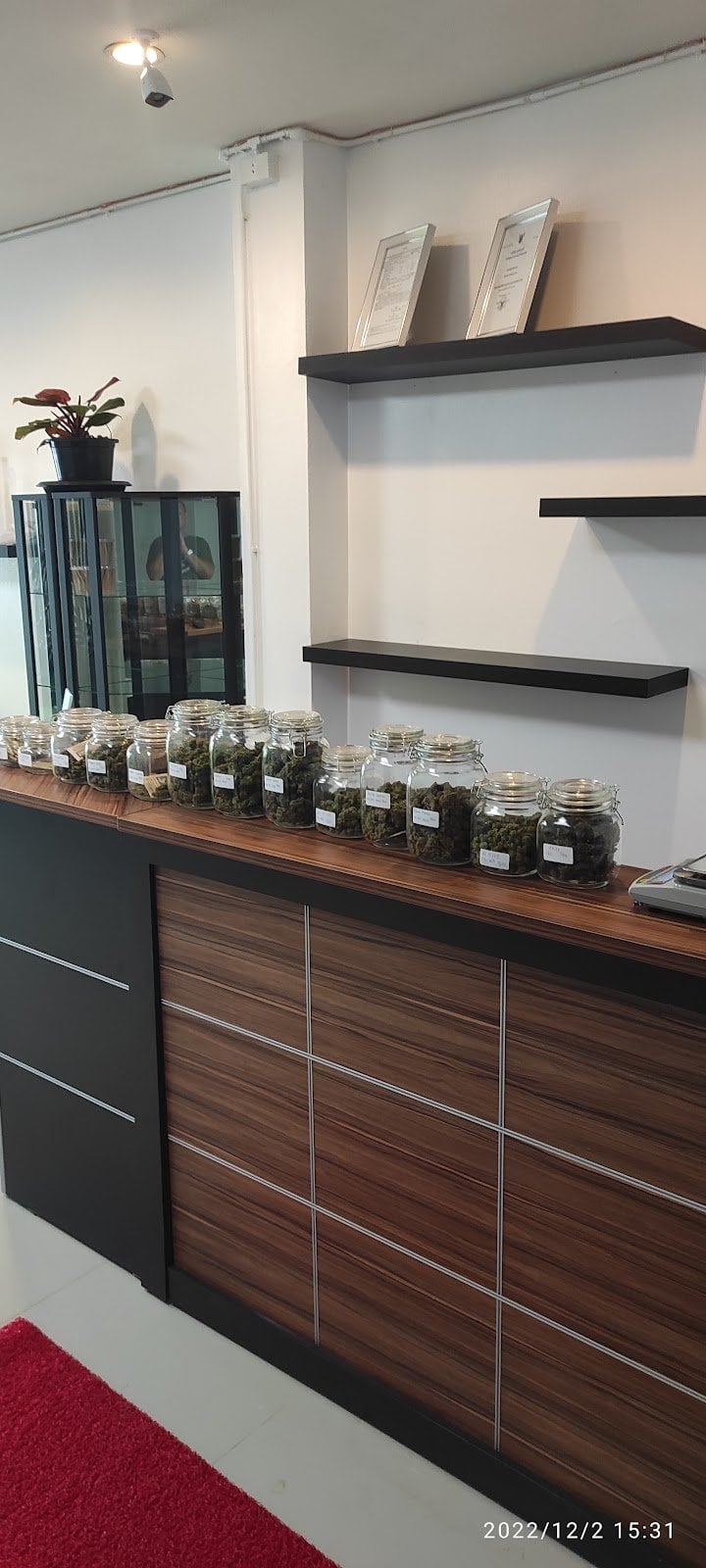 LaLaLand Cannabis