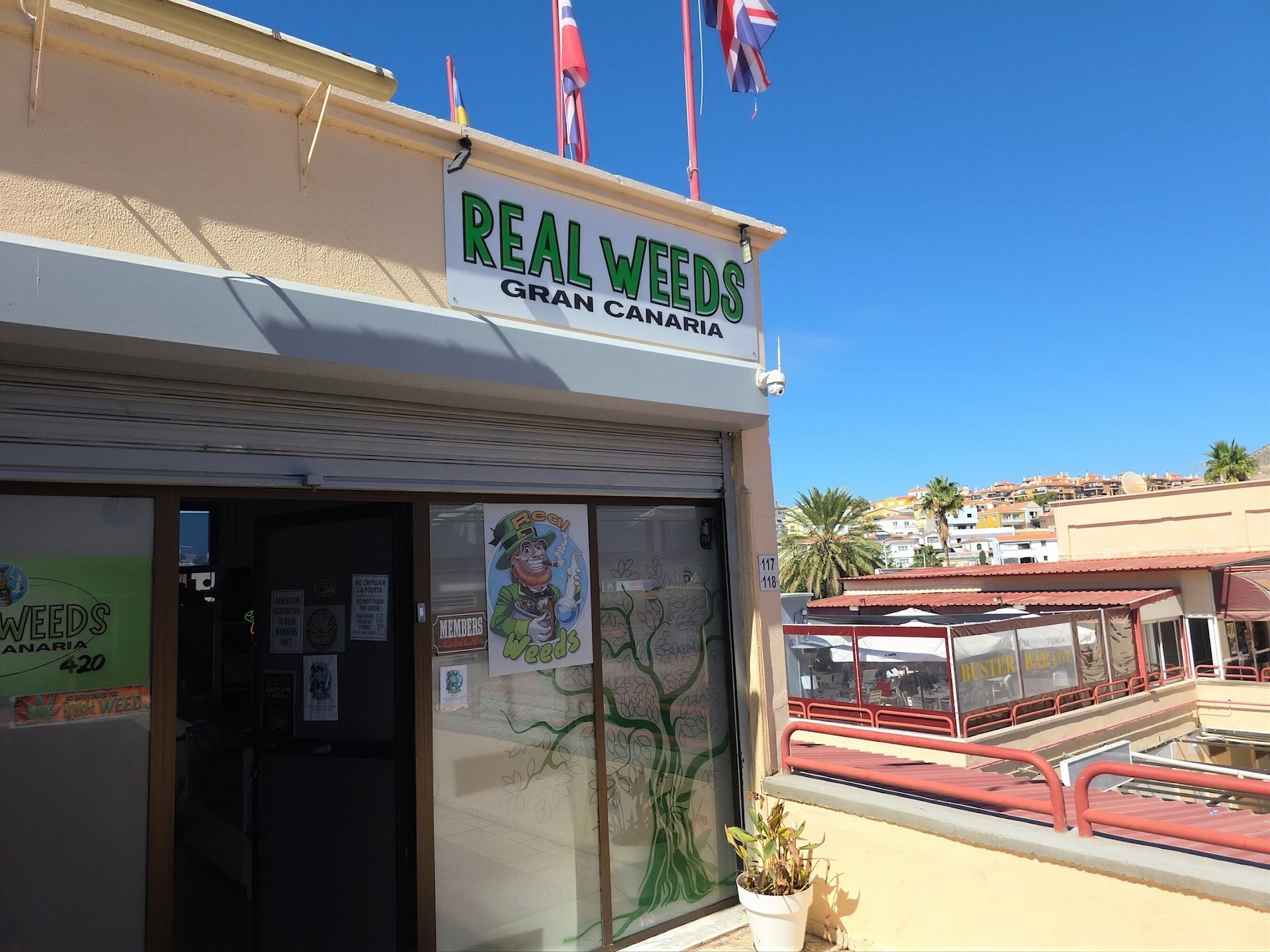 Real Weeds Gran Canaria