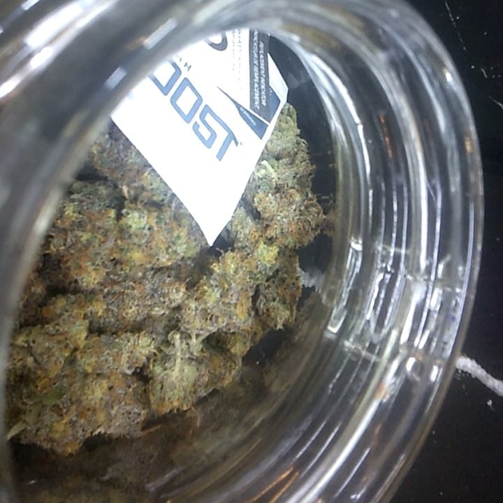 Shiva Cannabis - Weed
