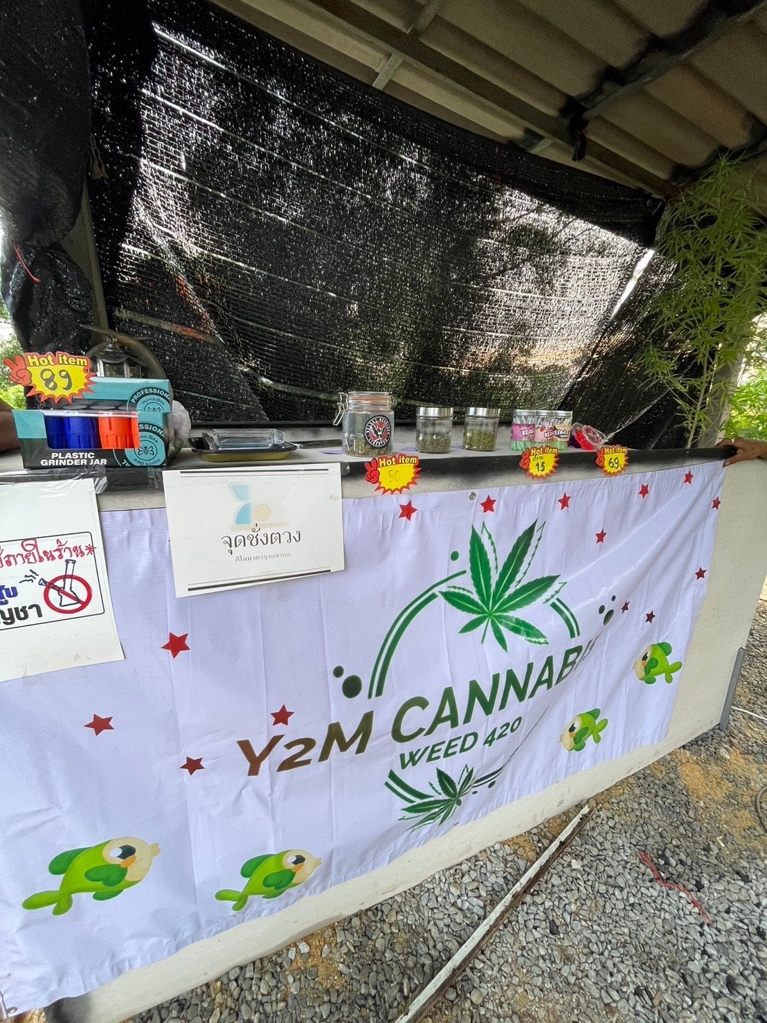 Y2m Cannabis Weed