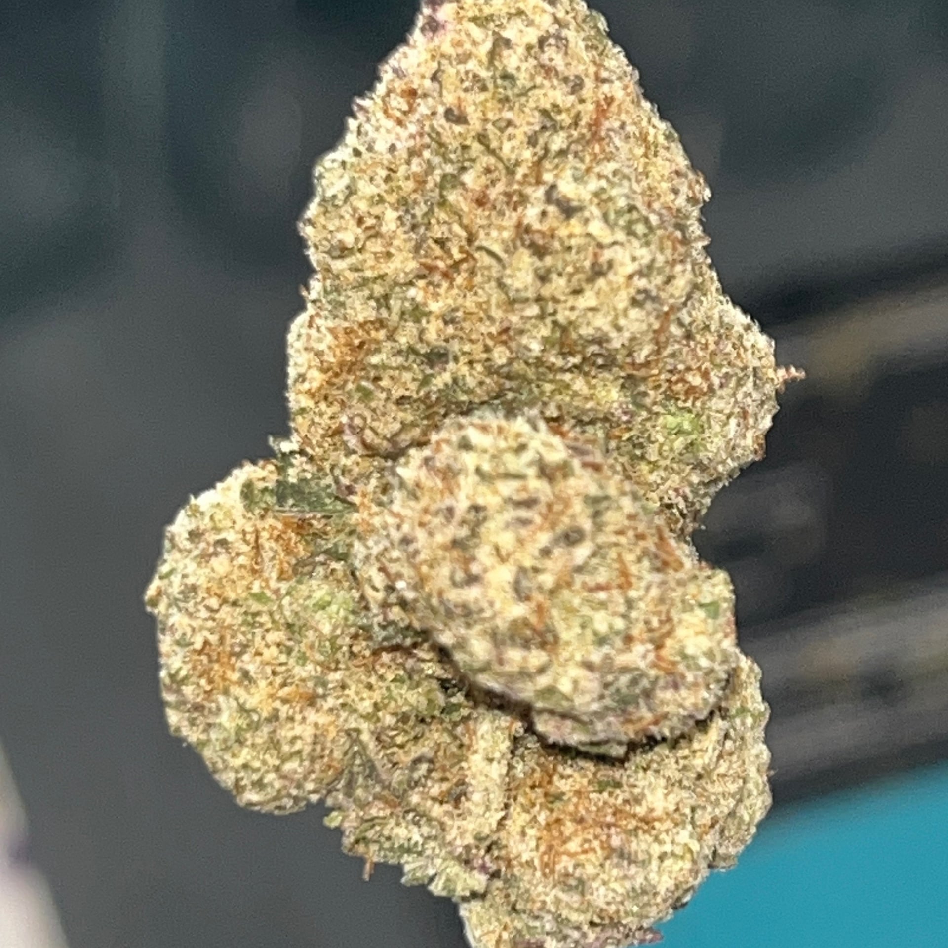 Muller Cannabis