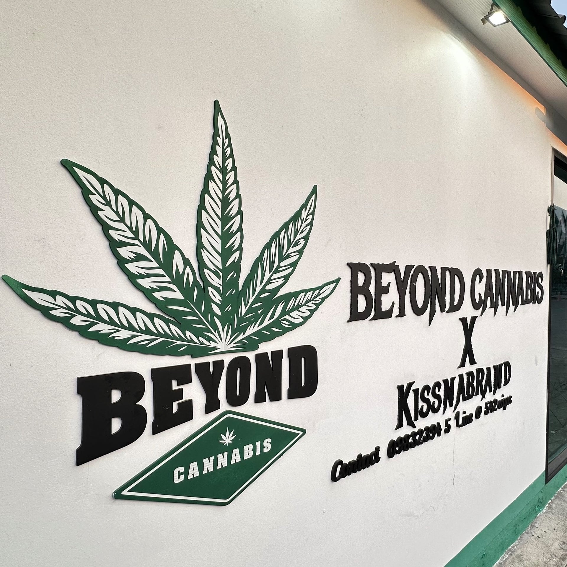Beyond Cannabis X Kissnabrand