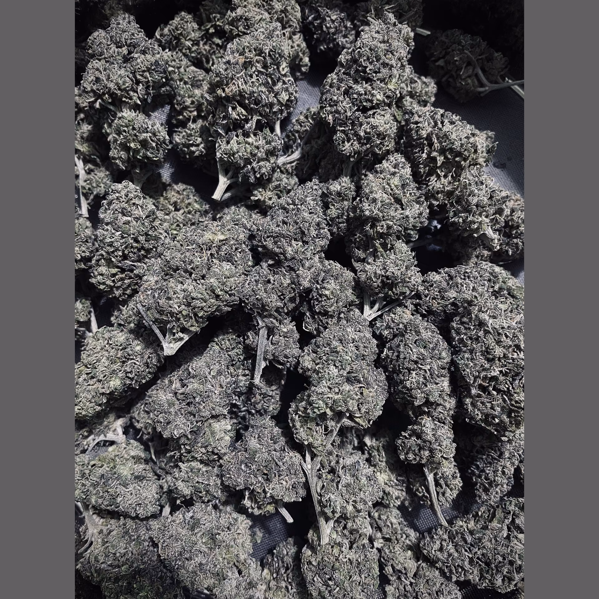 Cannabis Social Club Konguneng.undergrow420 Logo