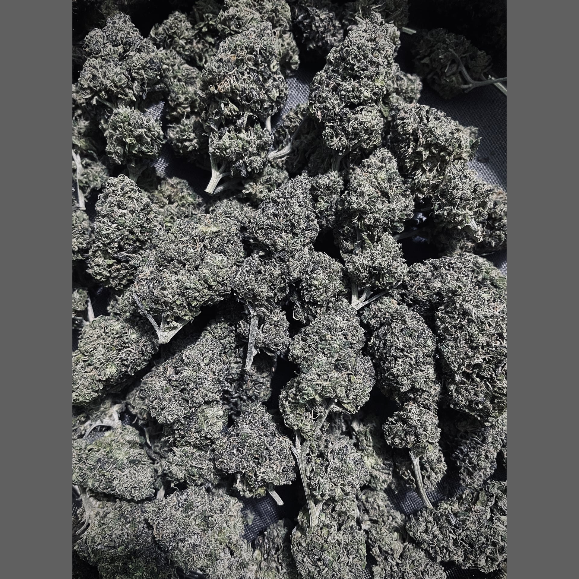 Konguneng.undergrow420 logo