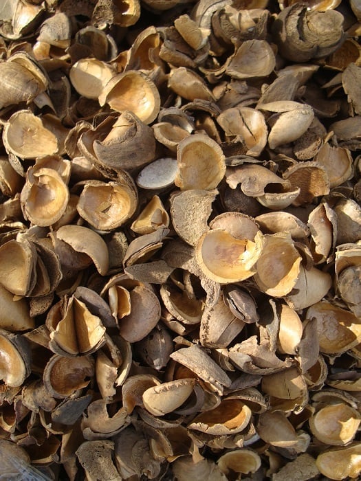 Various Herb