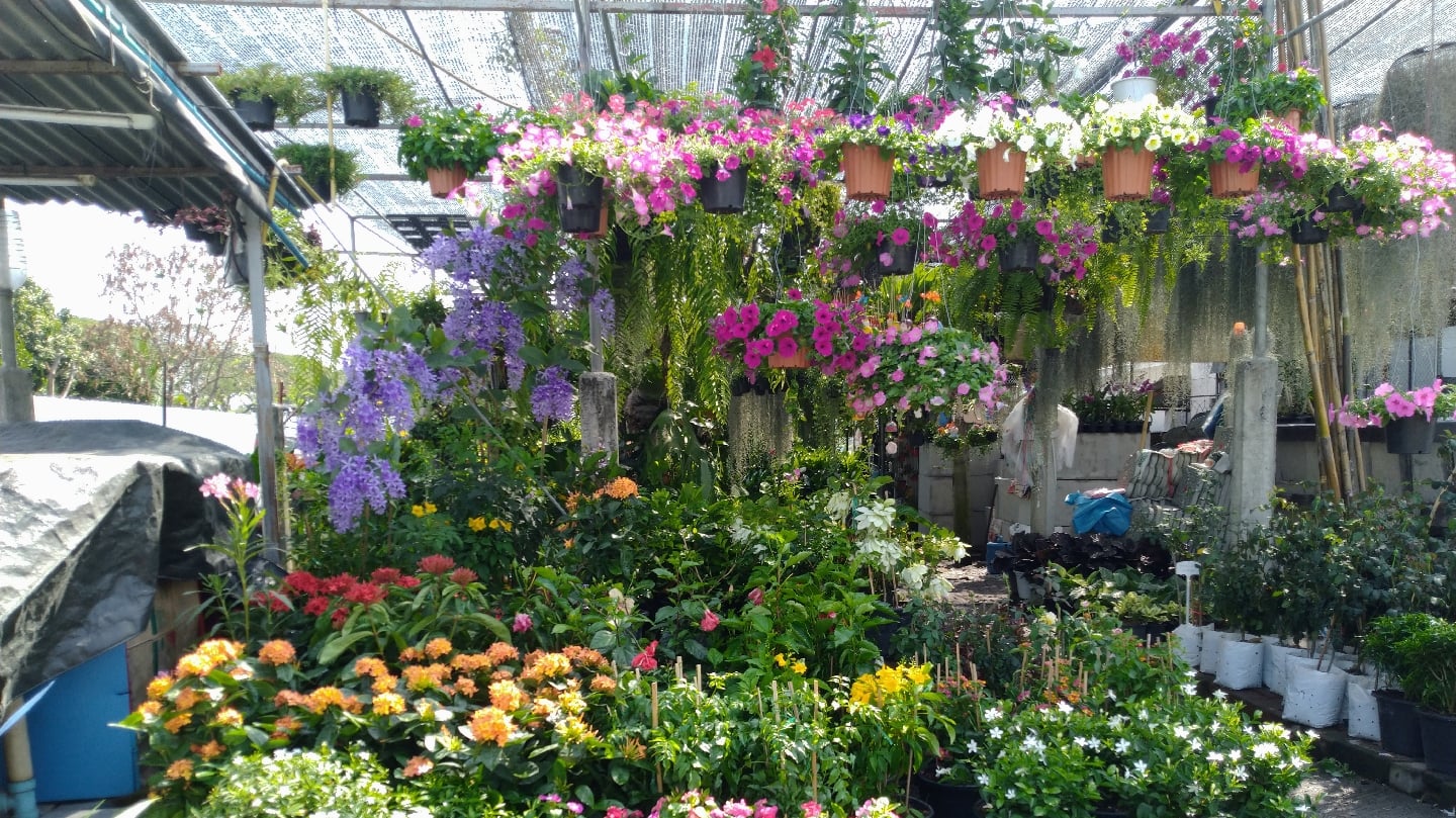 PT Garden