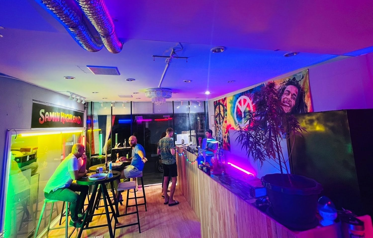Mr.Tu Cannabis Samui