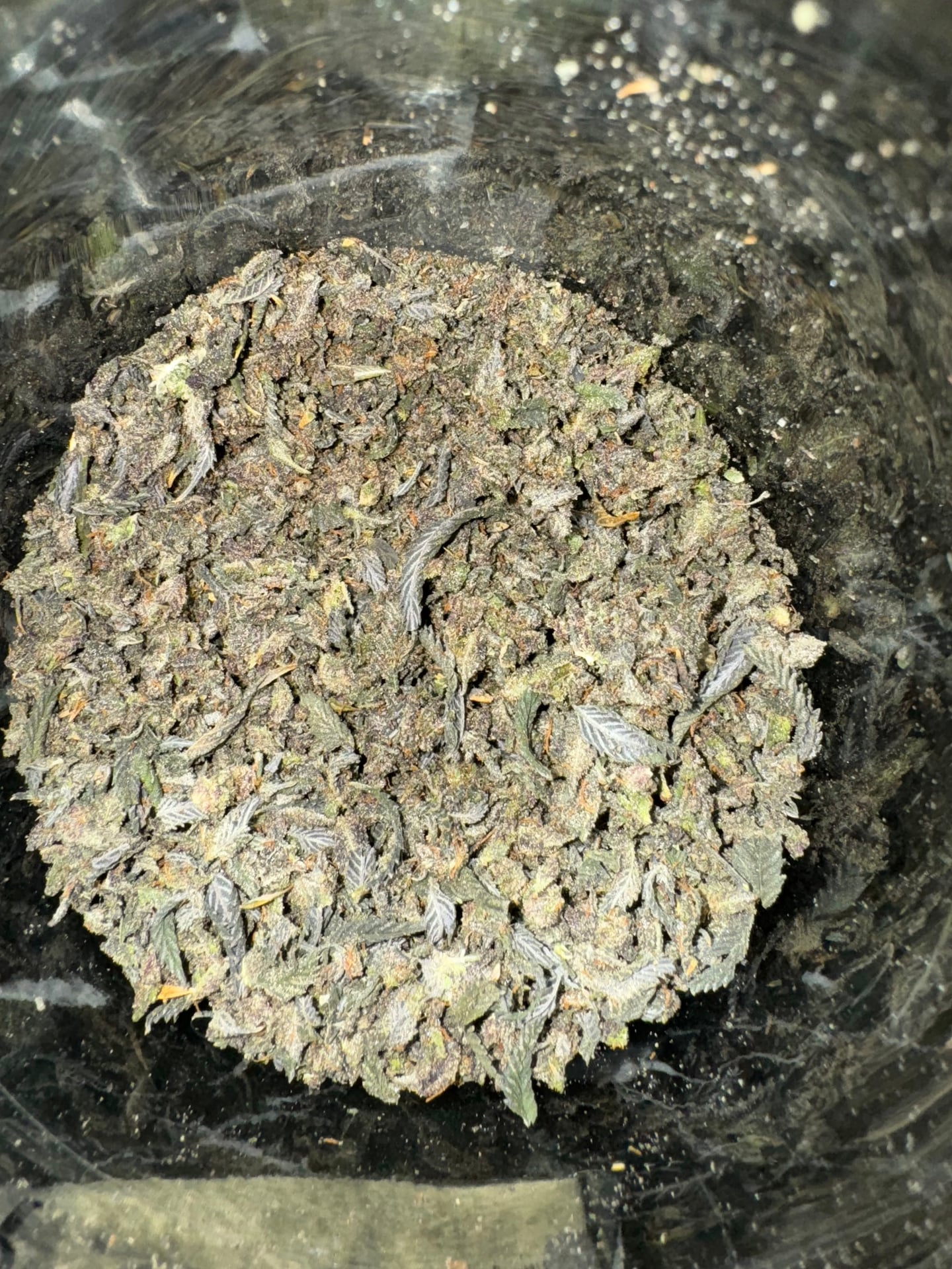 Cannabis Haze