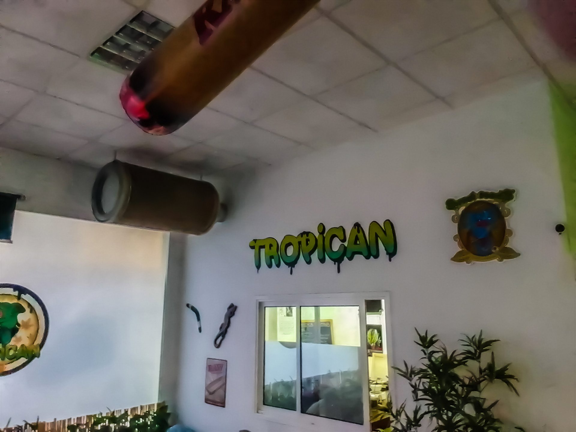 CSC Tropican Social Club