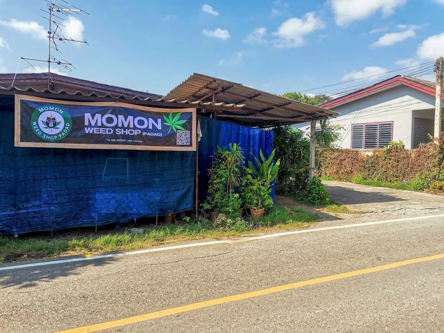 MOMON