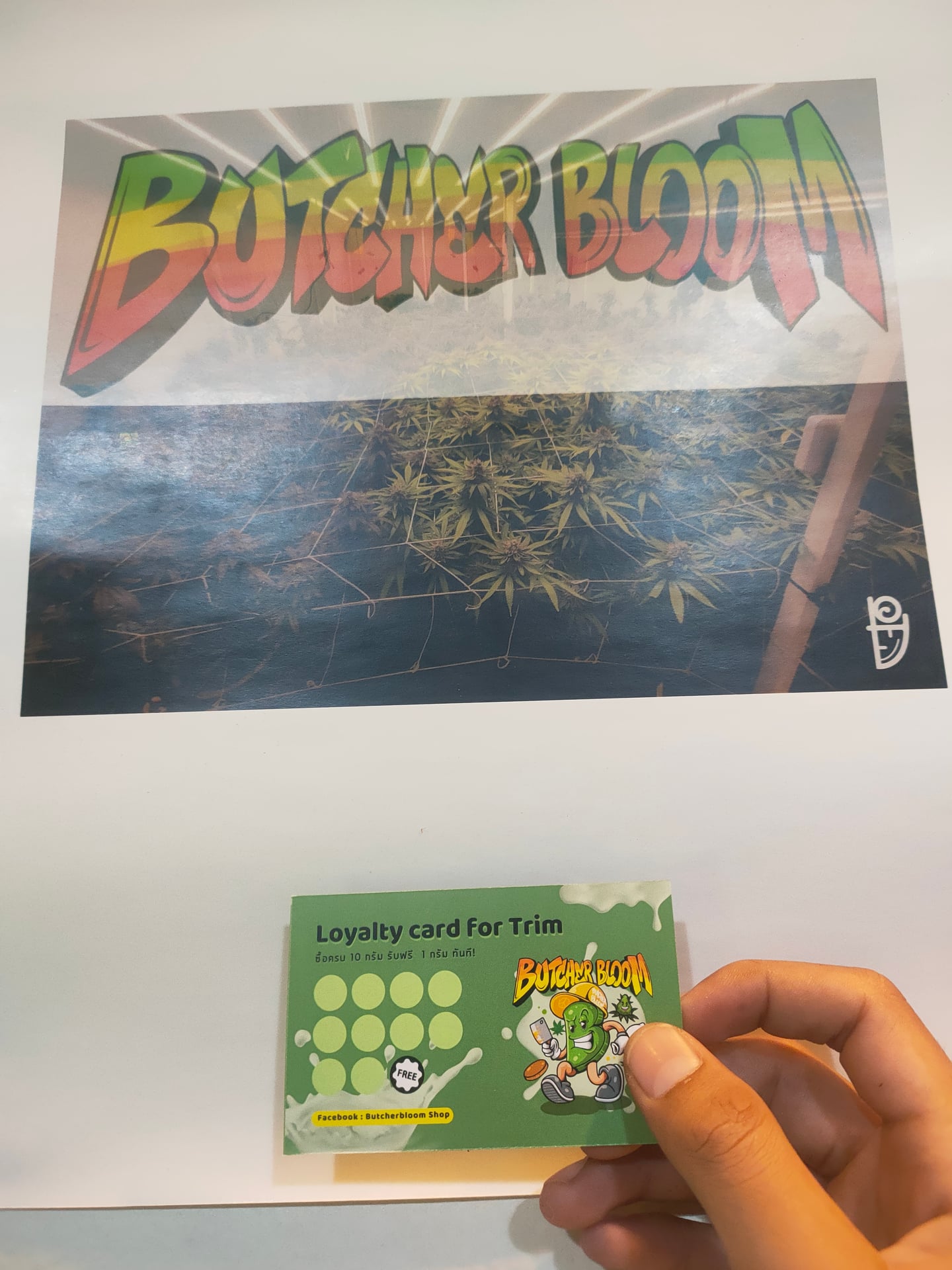 Butcher Bloom Nai Mueang