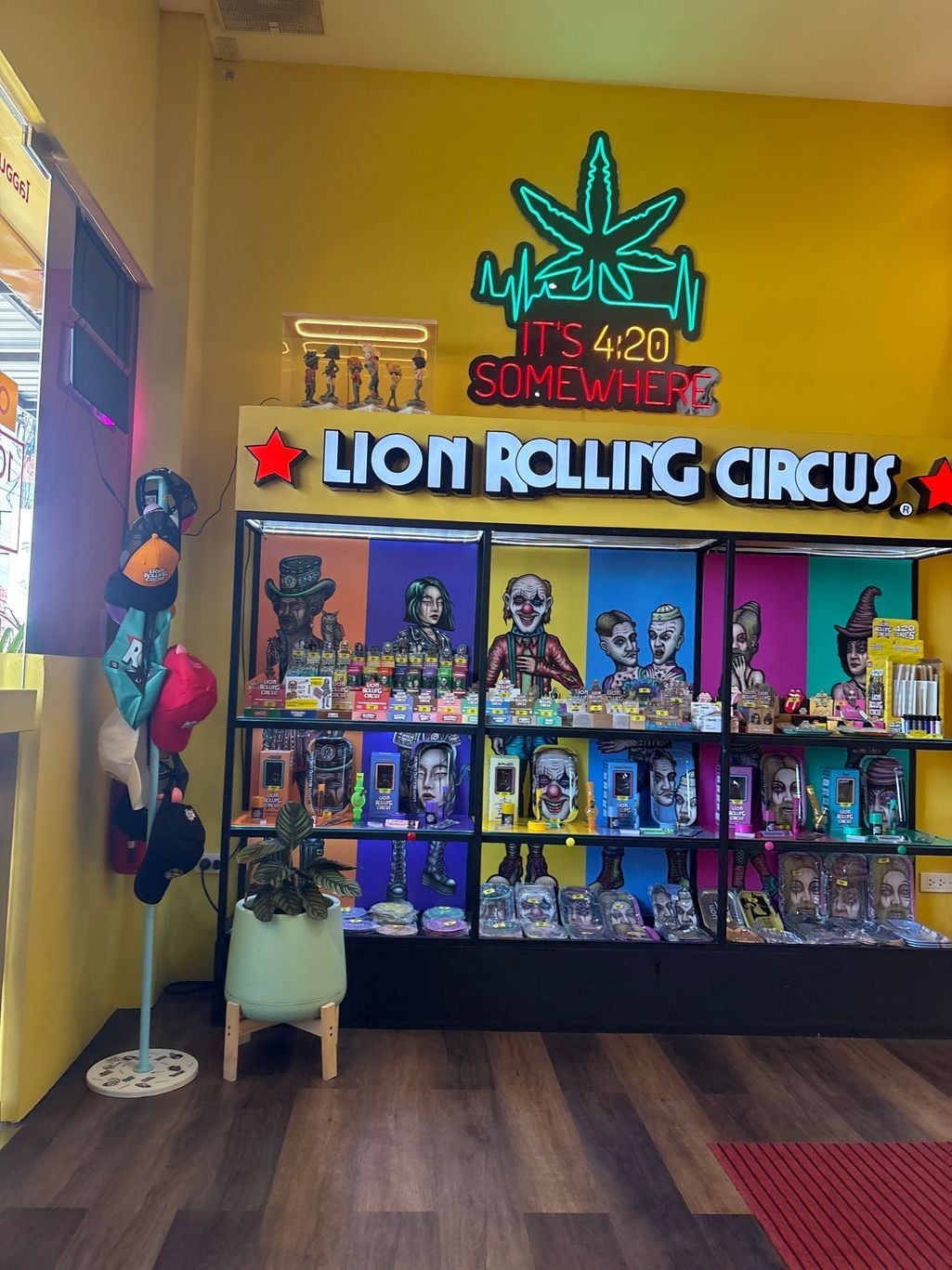 Lion Rolling Circus