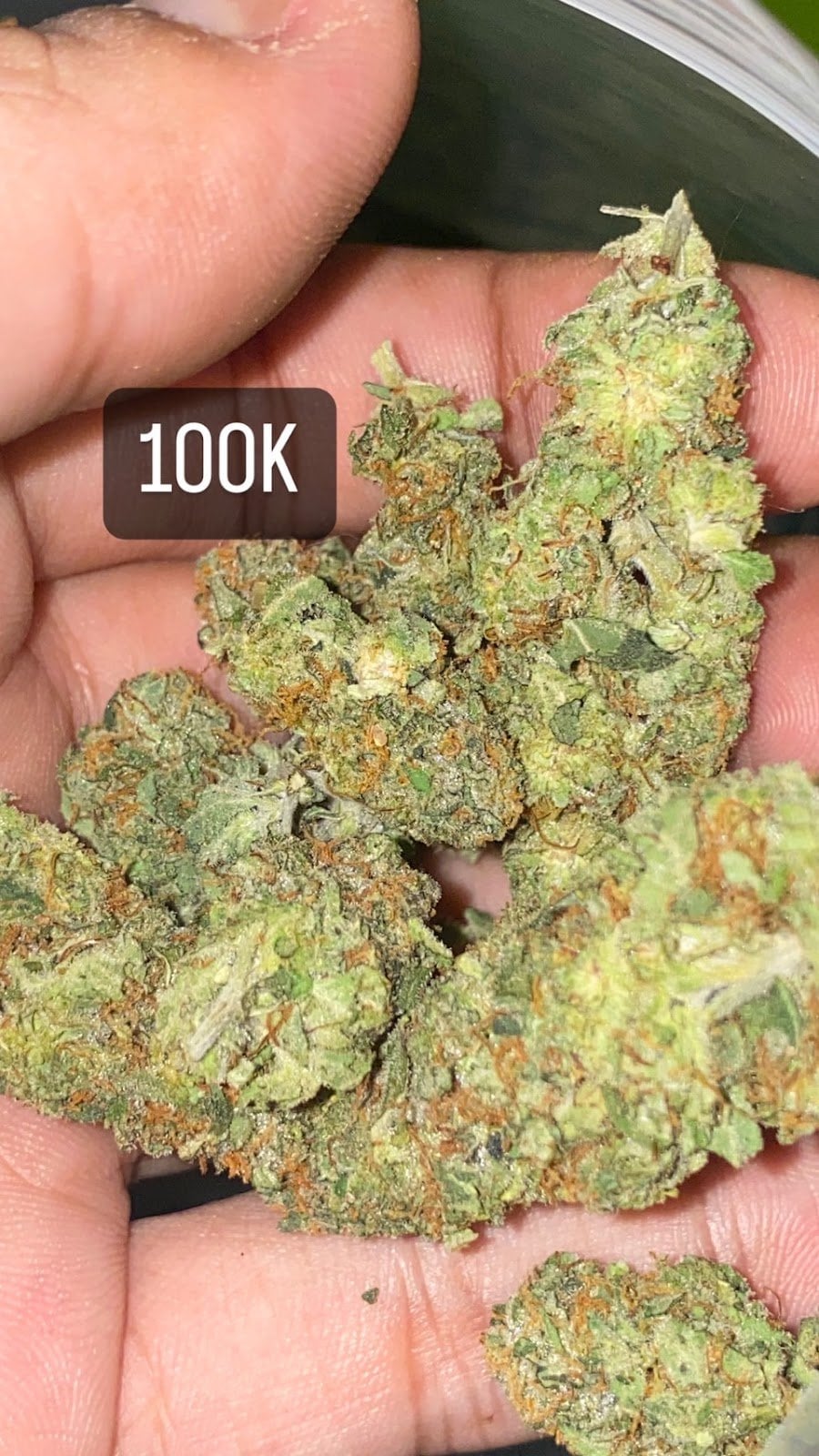 Thai Bud By Good Man Rangsit
