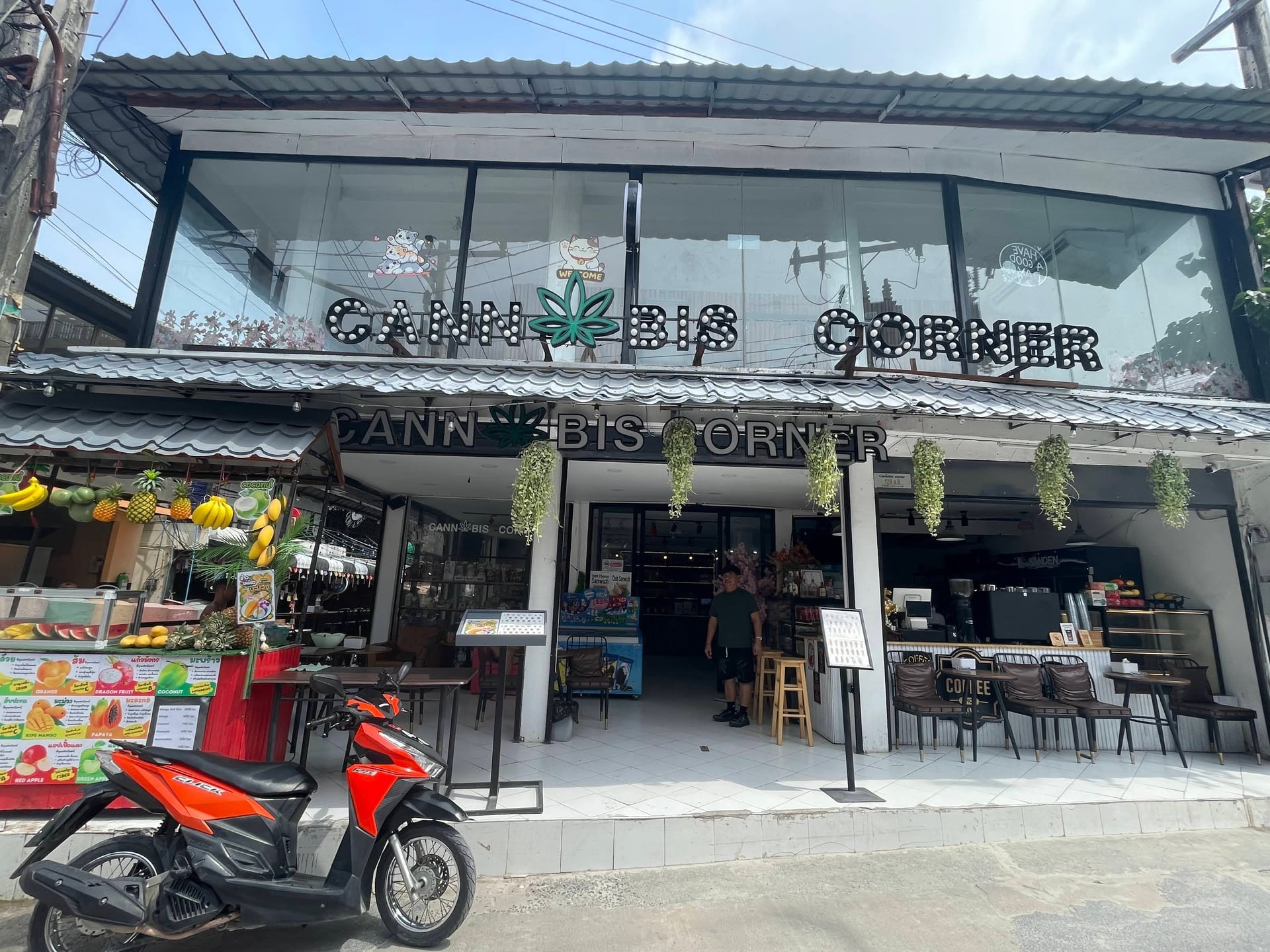 Cannabis Corner