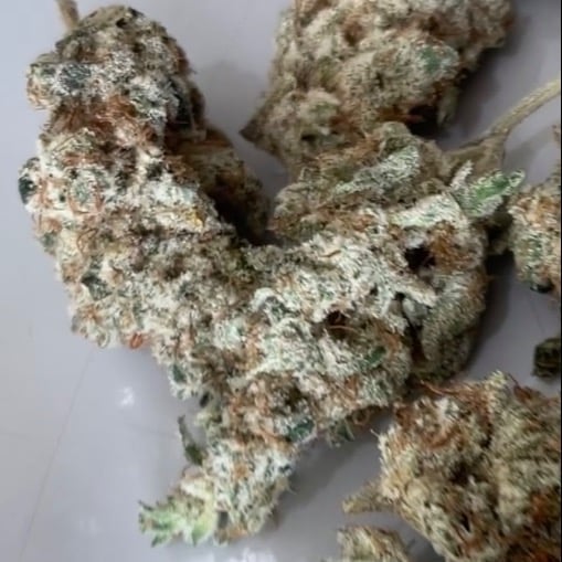 Cali Kush