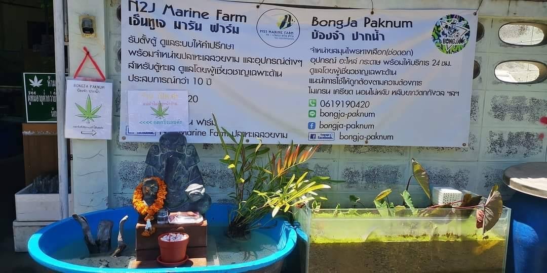 Bongja Paknam