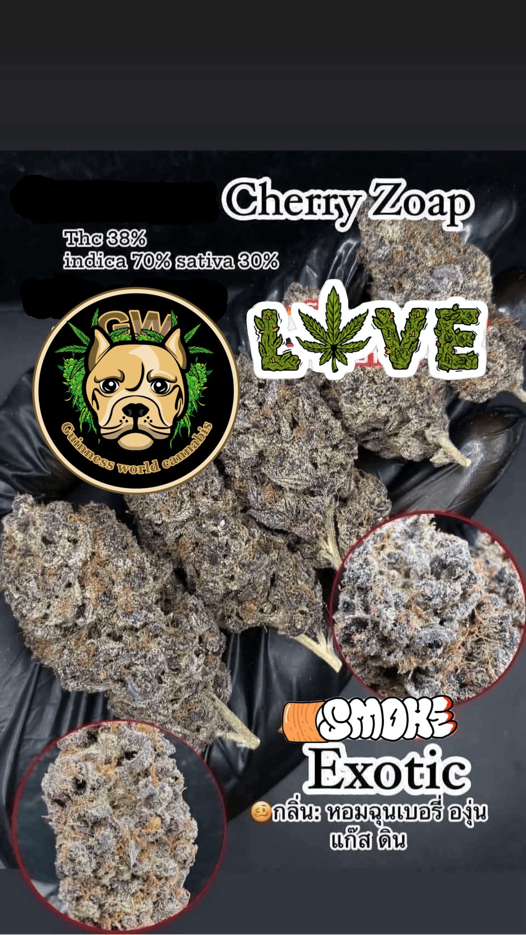 Guinness World Cannabis