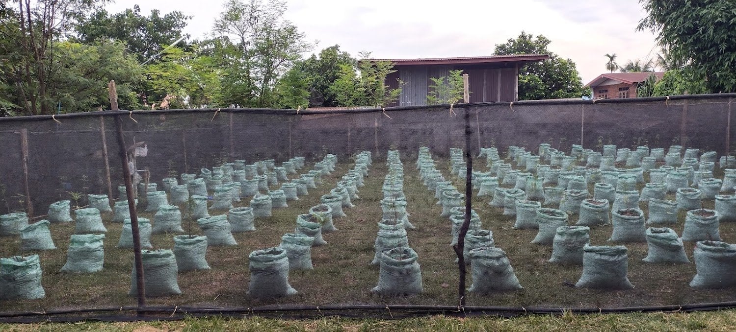 Father Phet’s Garden