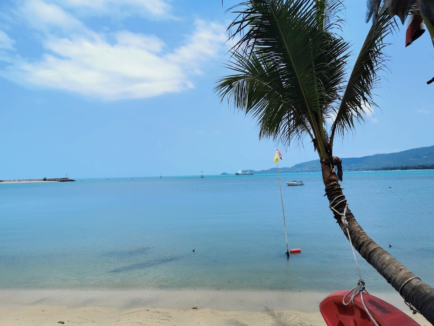 Jone Klam Beach Cannabis Farm