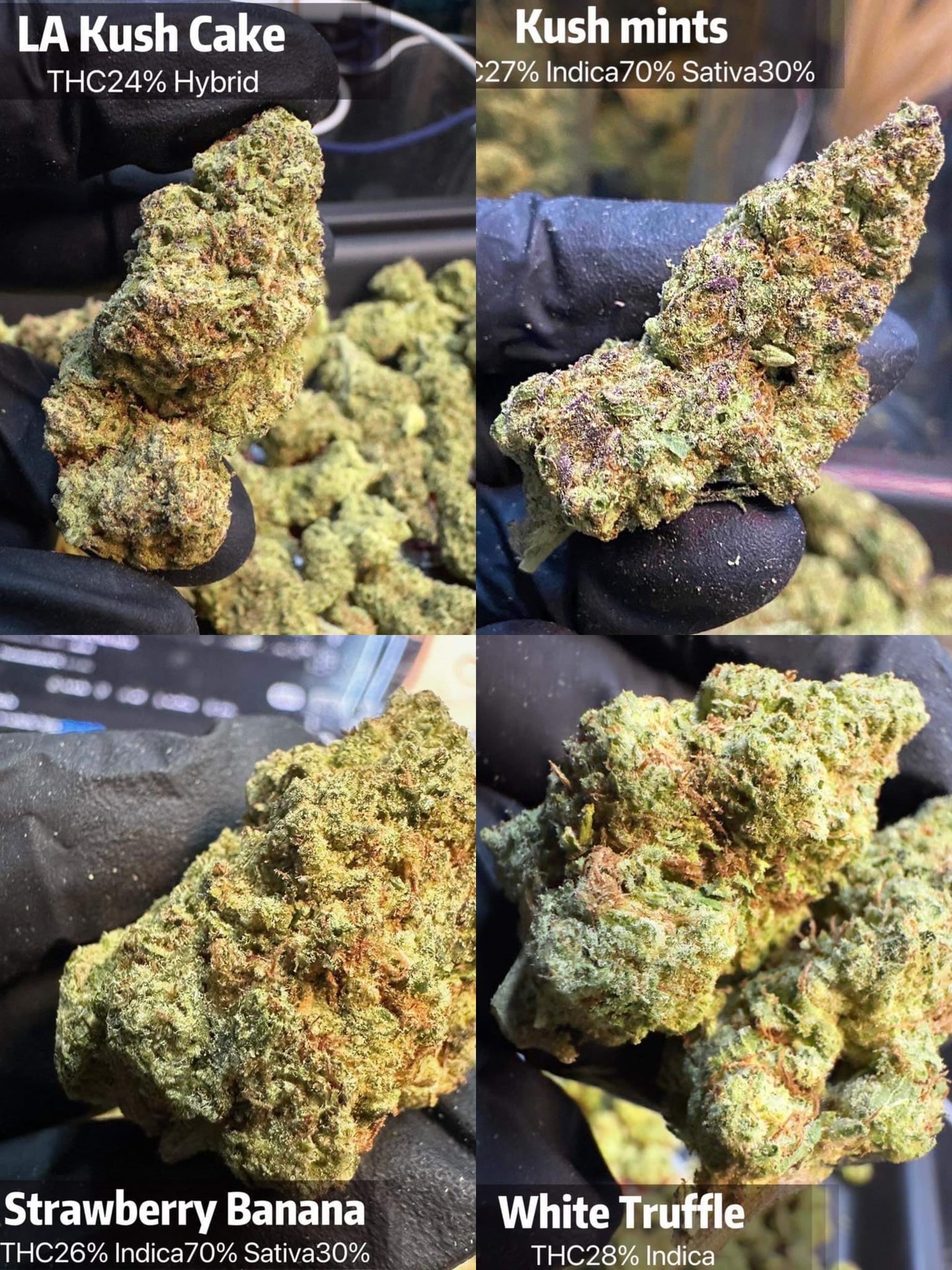 High Flower
