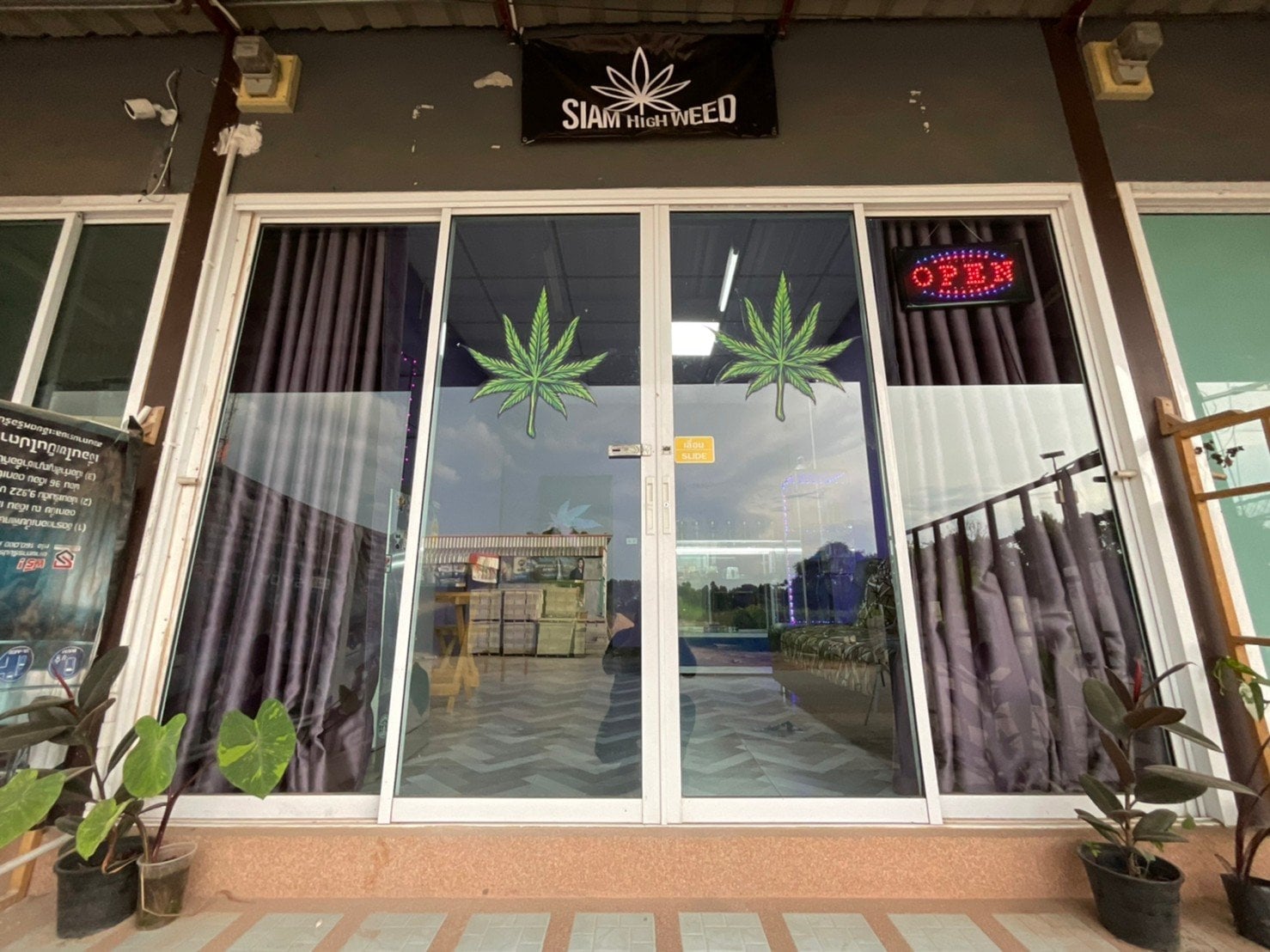 Siam High Weed Khon Kaen Cannabis
