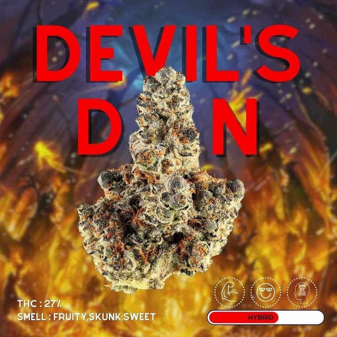 Savannah House Dispensary - Ca'fe Weed Store & Cannabis Shop 24 Hours