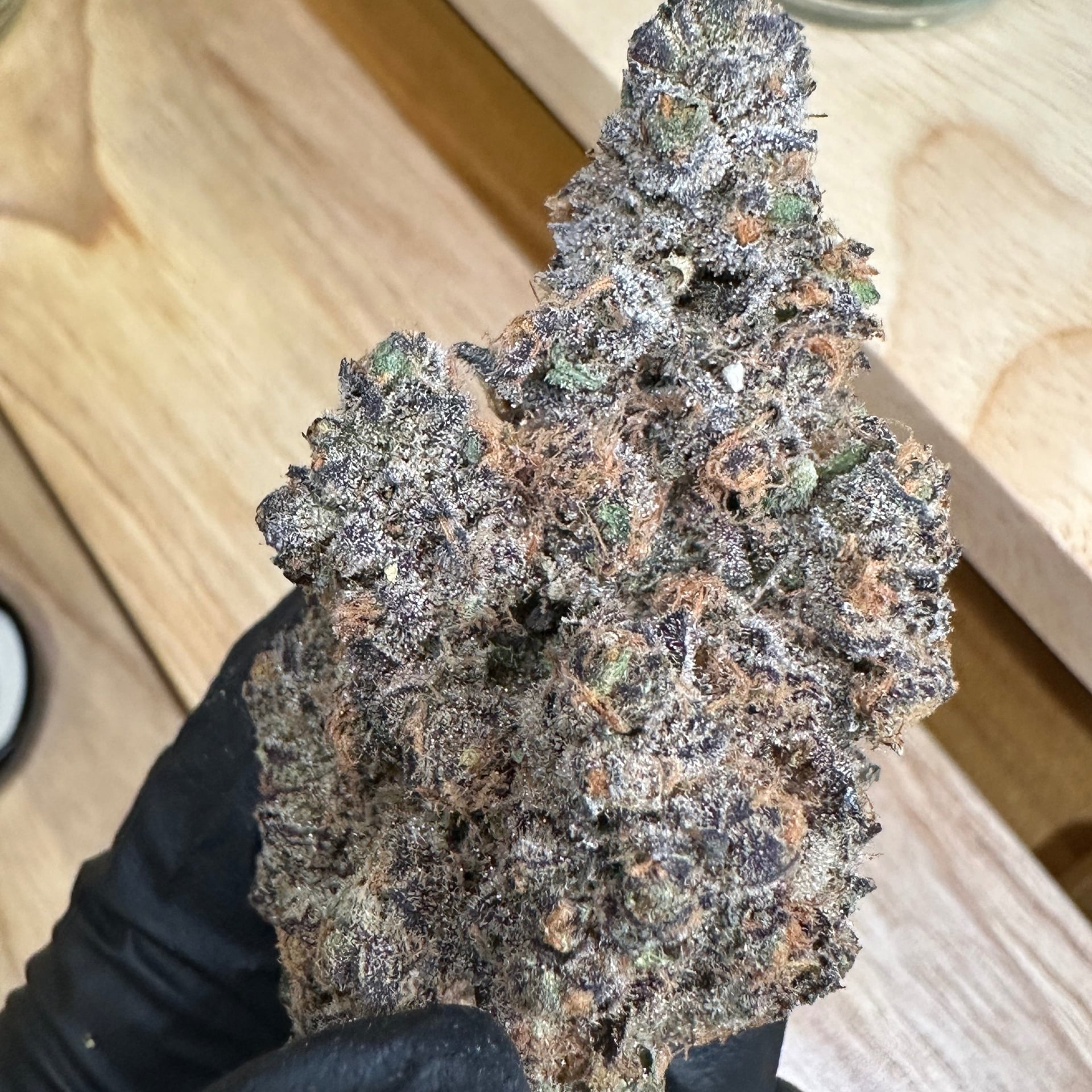 Buds Box Dispensary Cannabis Store , Weed Cafe , Weed Shop Local Price