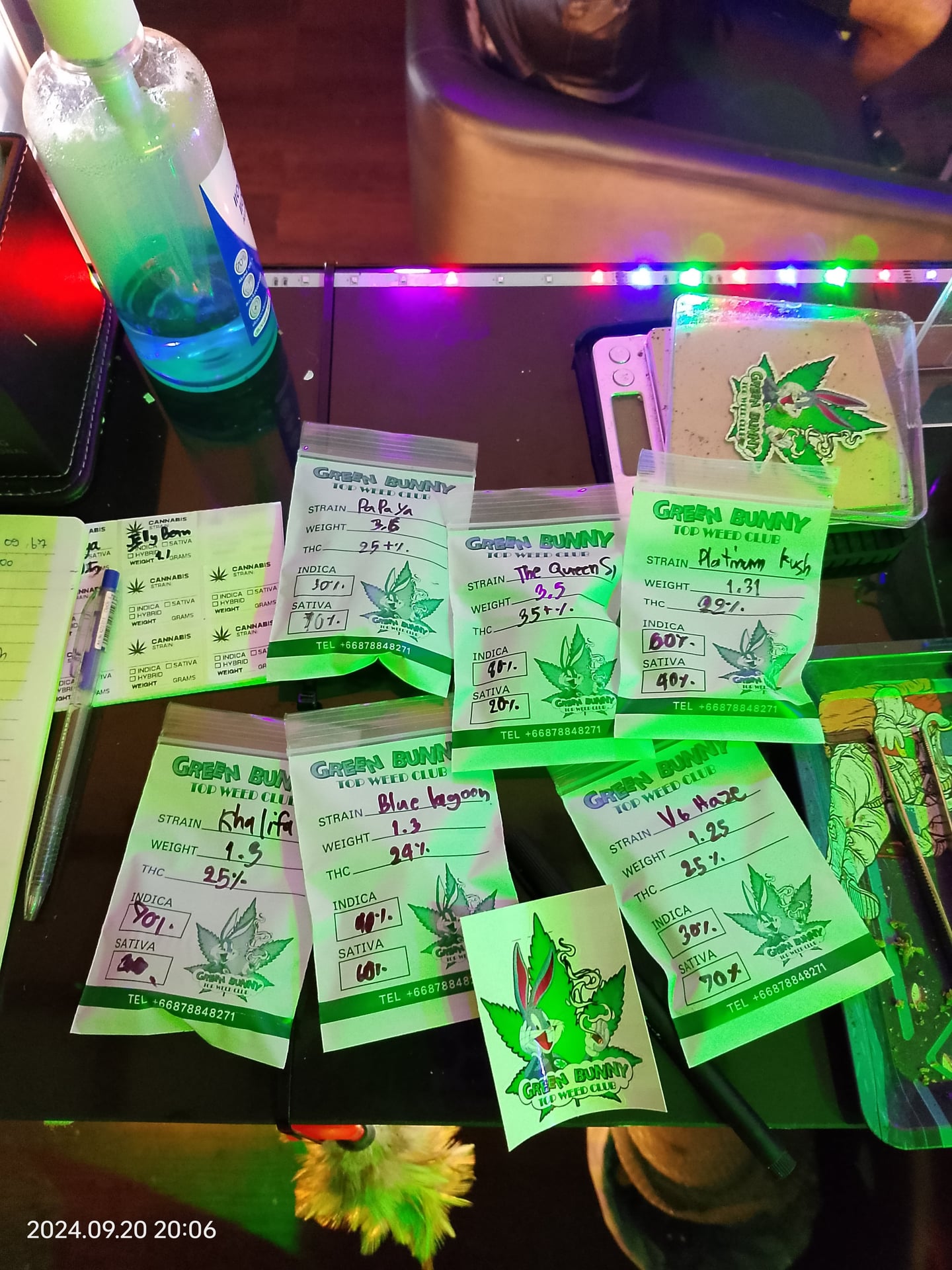 Green Bunny
