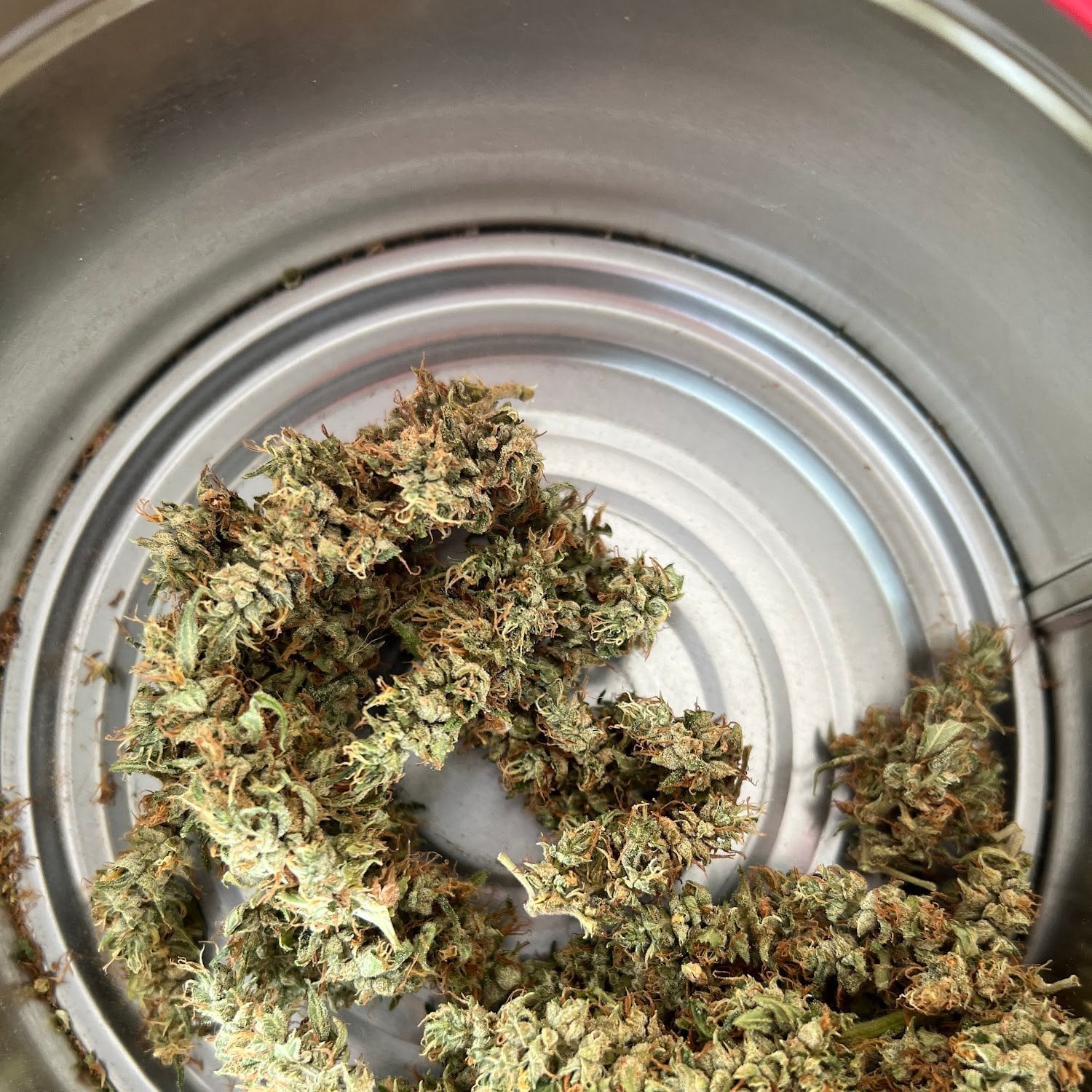 OG Cannabis