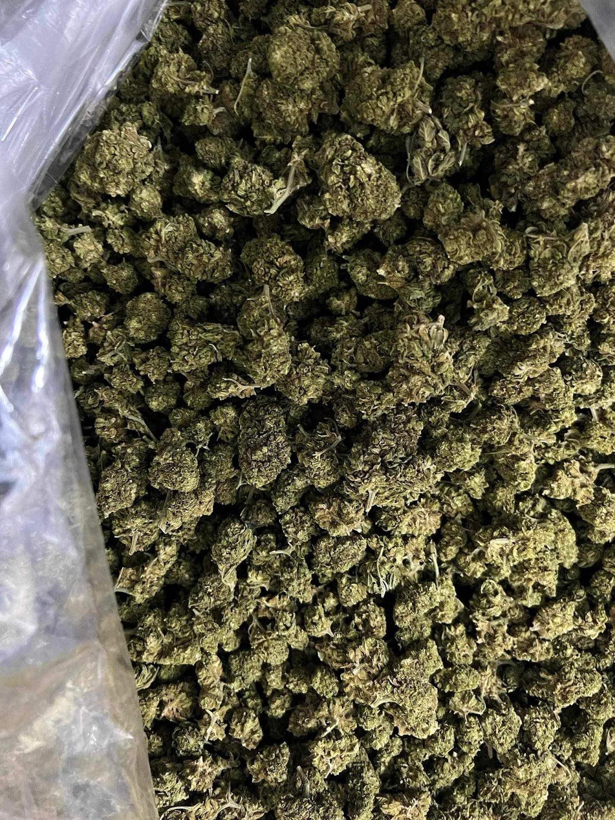 Cannabis Way