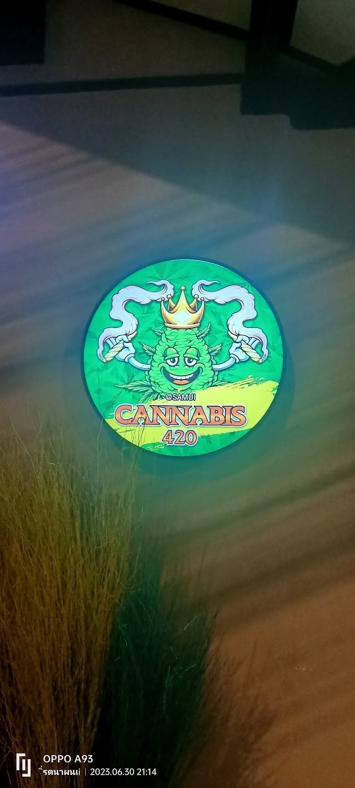 Samui Happy Cannabis Shop1