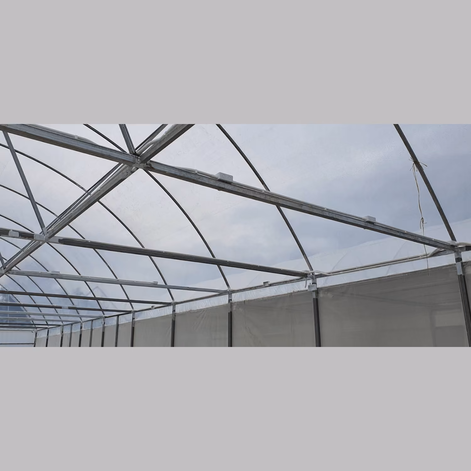 大麻社交俱乐部 Kanchanaburi Medical Cannabis Model Cultivation Facility 标志