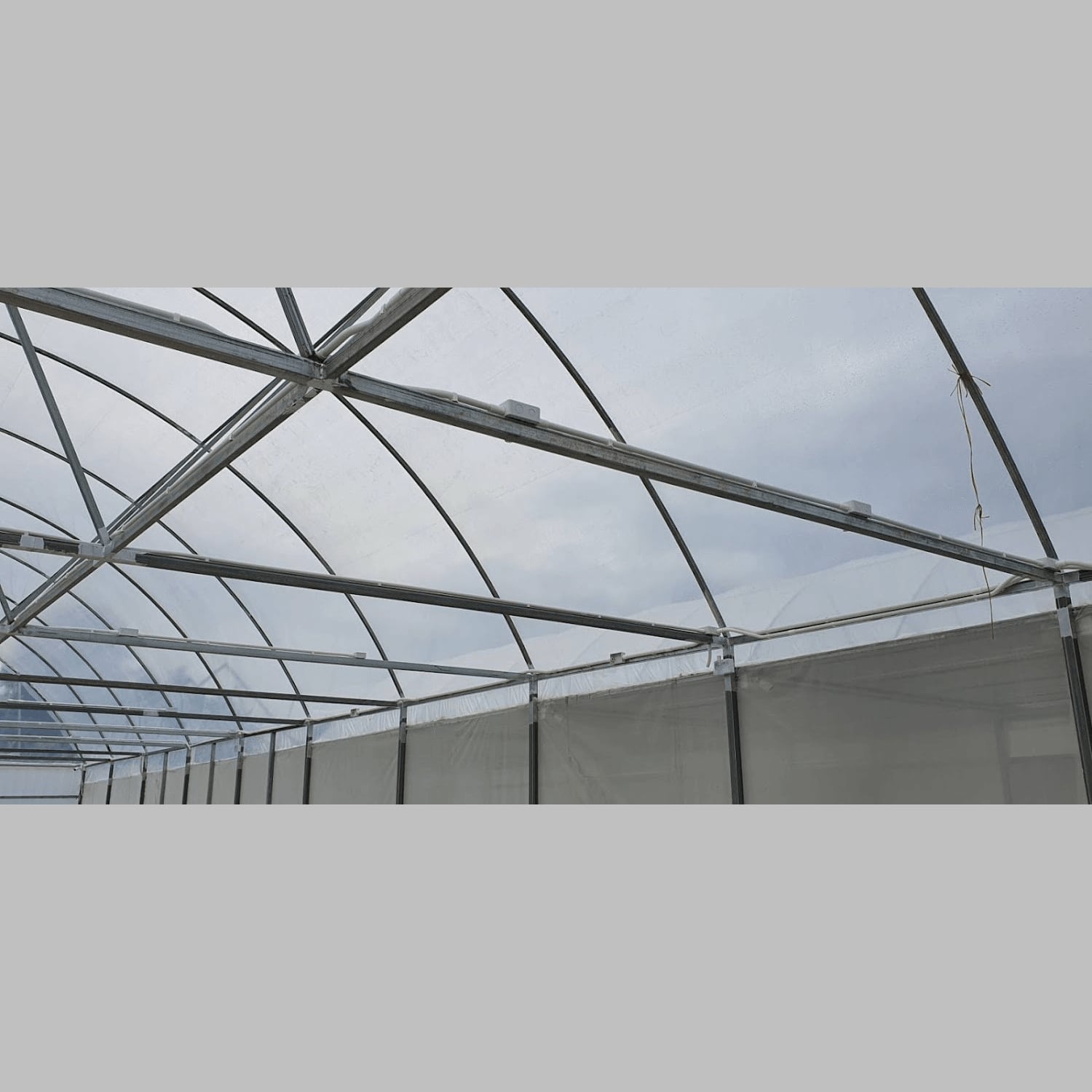Kanchanaburi Medical Cannabis Model Cultivation Facility logo