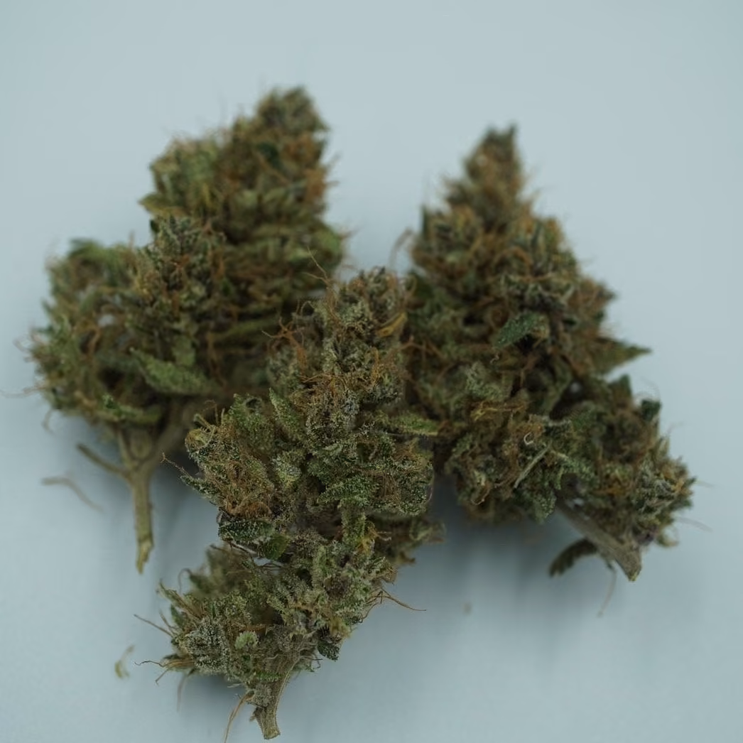 Cannabis Social Club THC Rayong logotipo