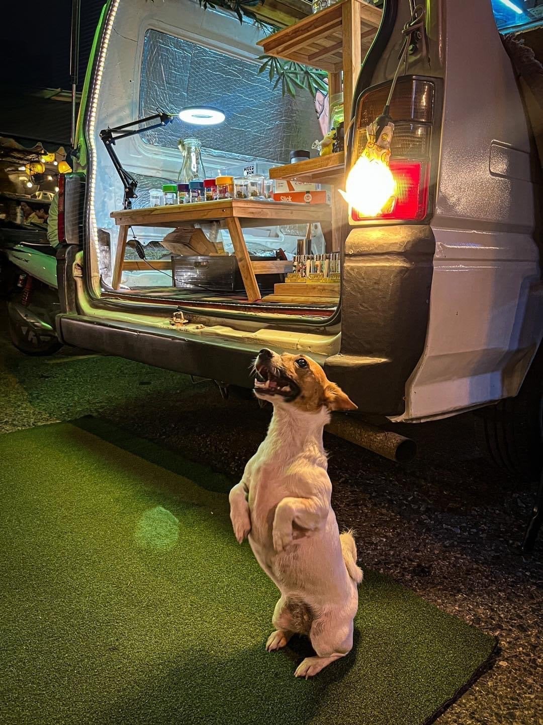 Weedvan