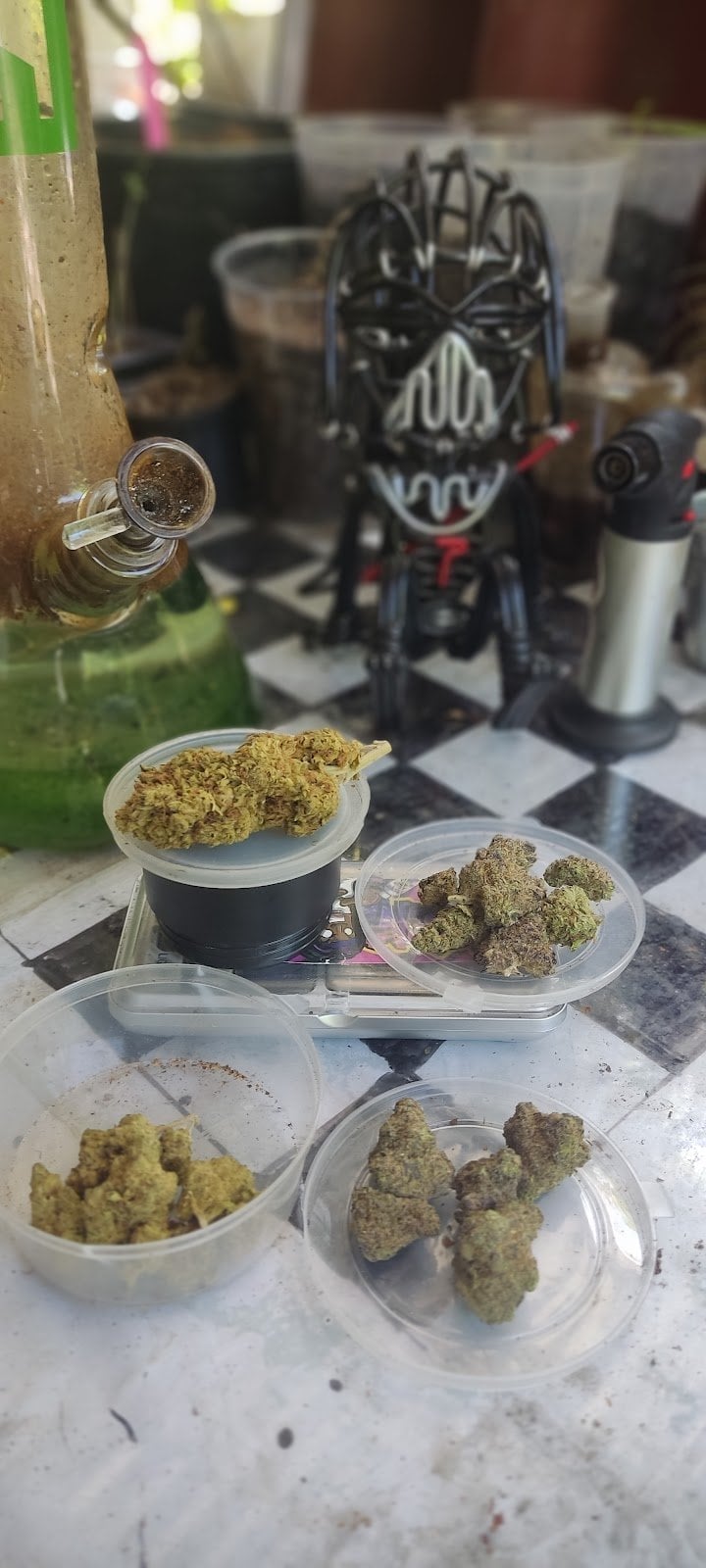 Guinness Cannabis