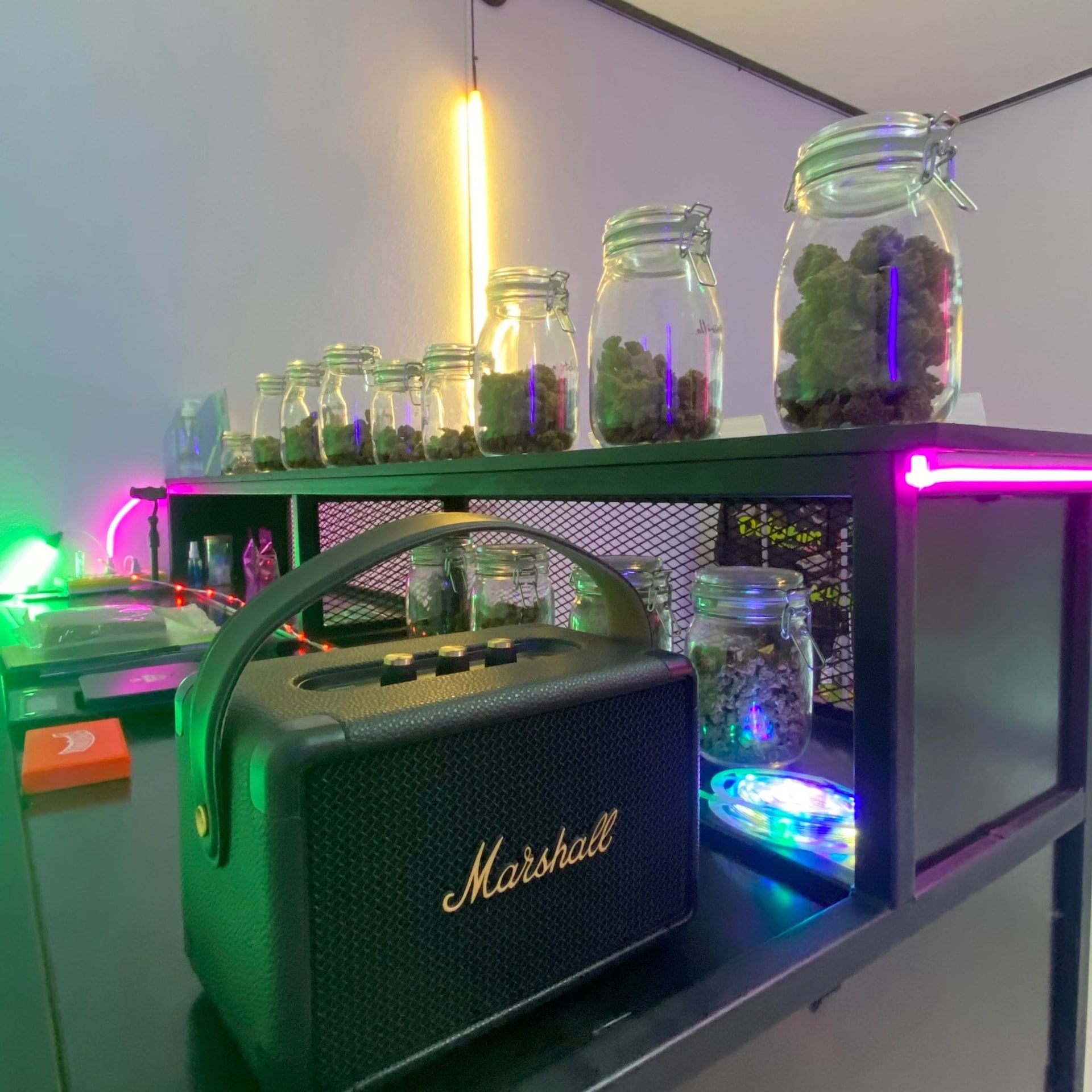 Dolphin Grower420