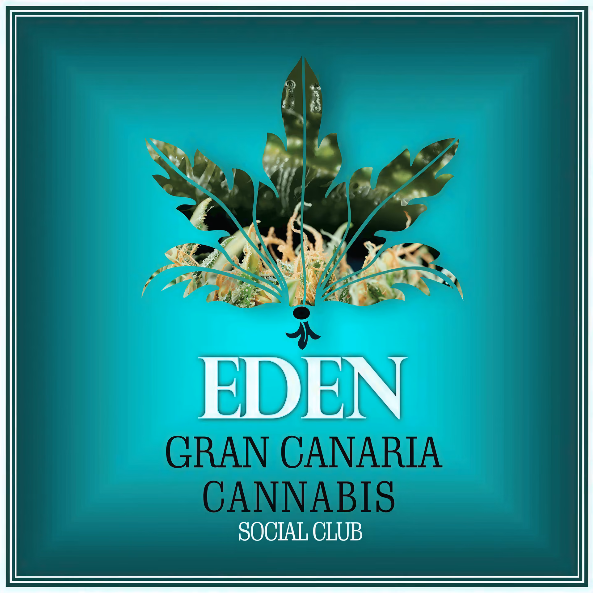 Cannabis Social Club Eden Gran Canaria logo