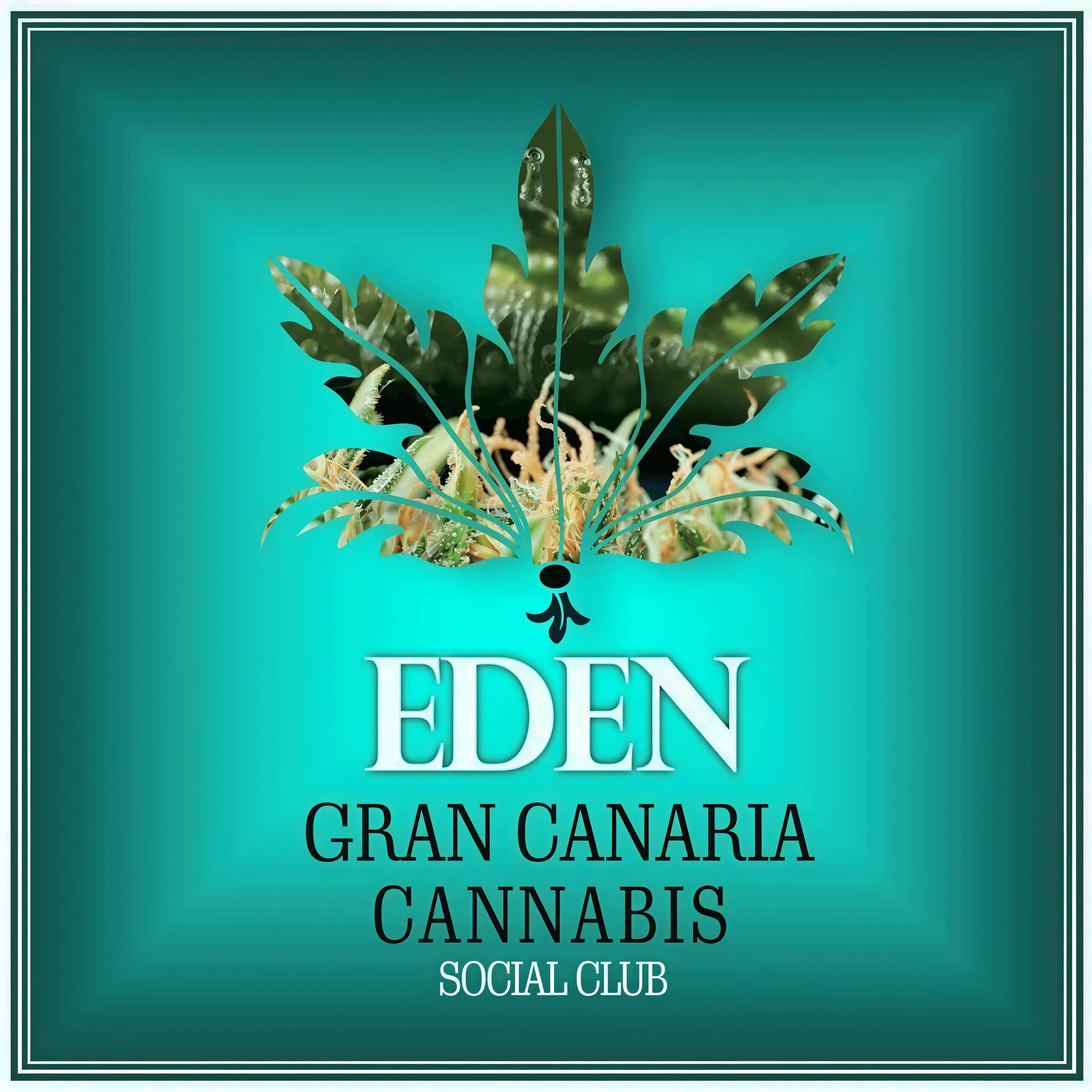 Cannabis Social Club Eden Gran Canaria logo