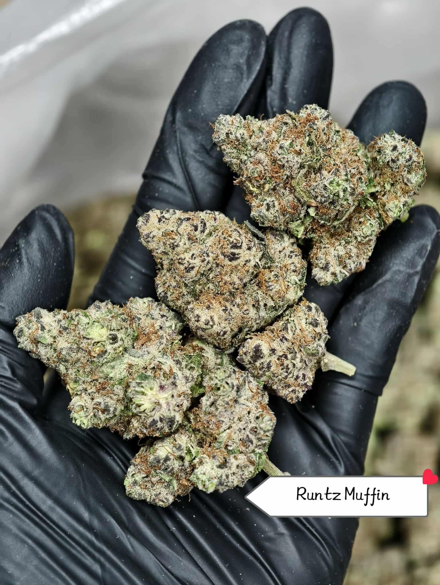 MR.Surprise Cannabis