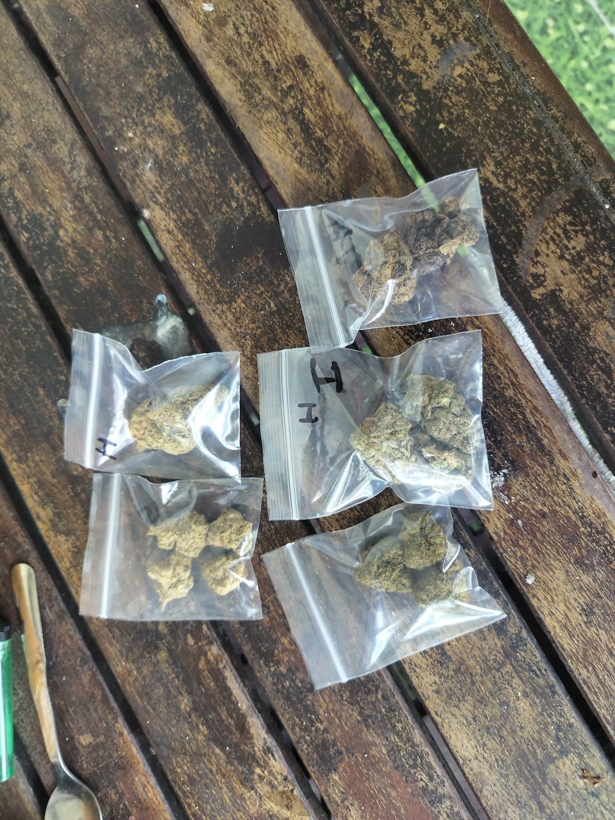 Chaepweedshop2