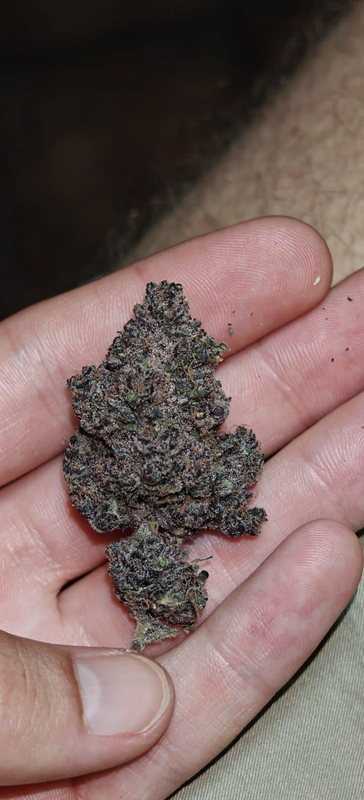 Weed Pearl
