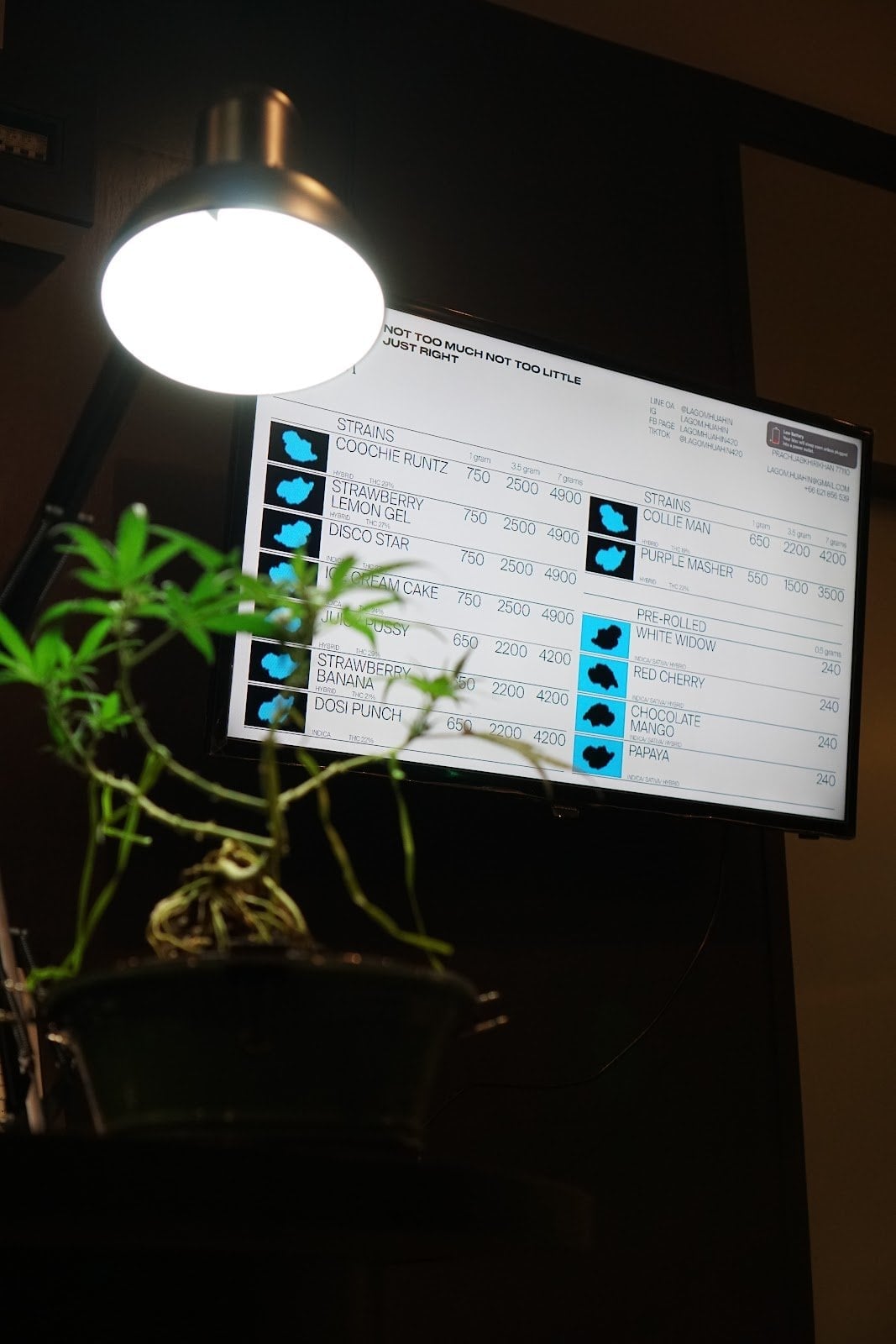 Lagom Cannabis