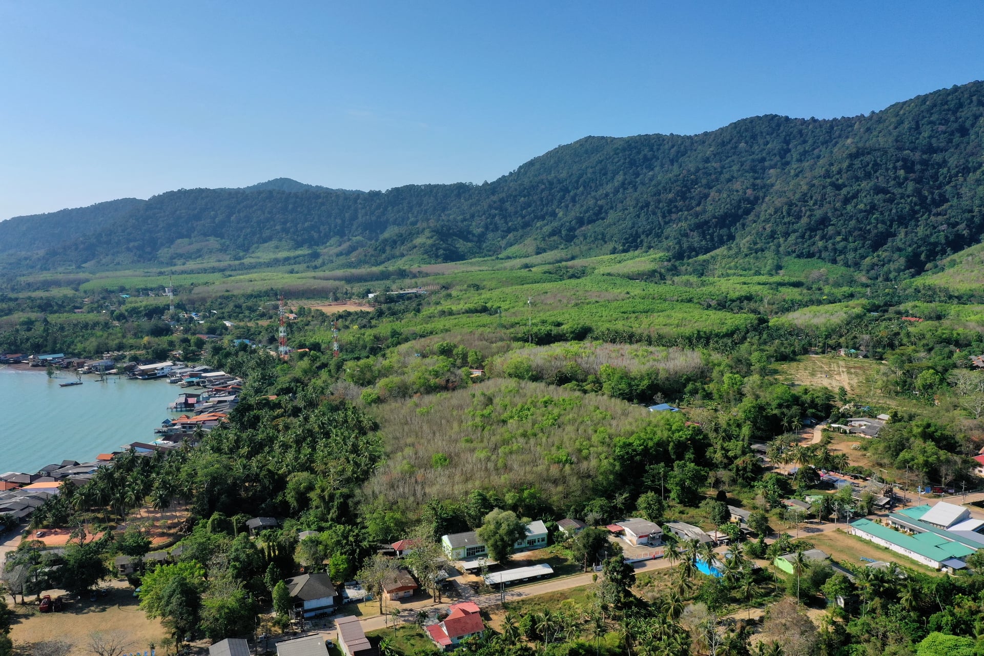 Malee Lanta Cannabis