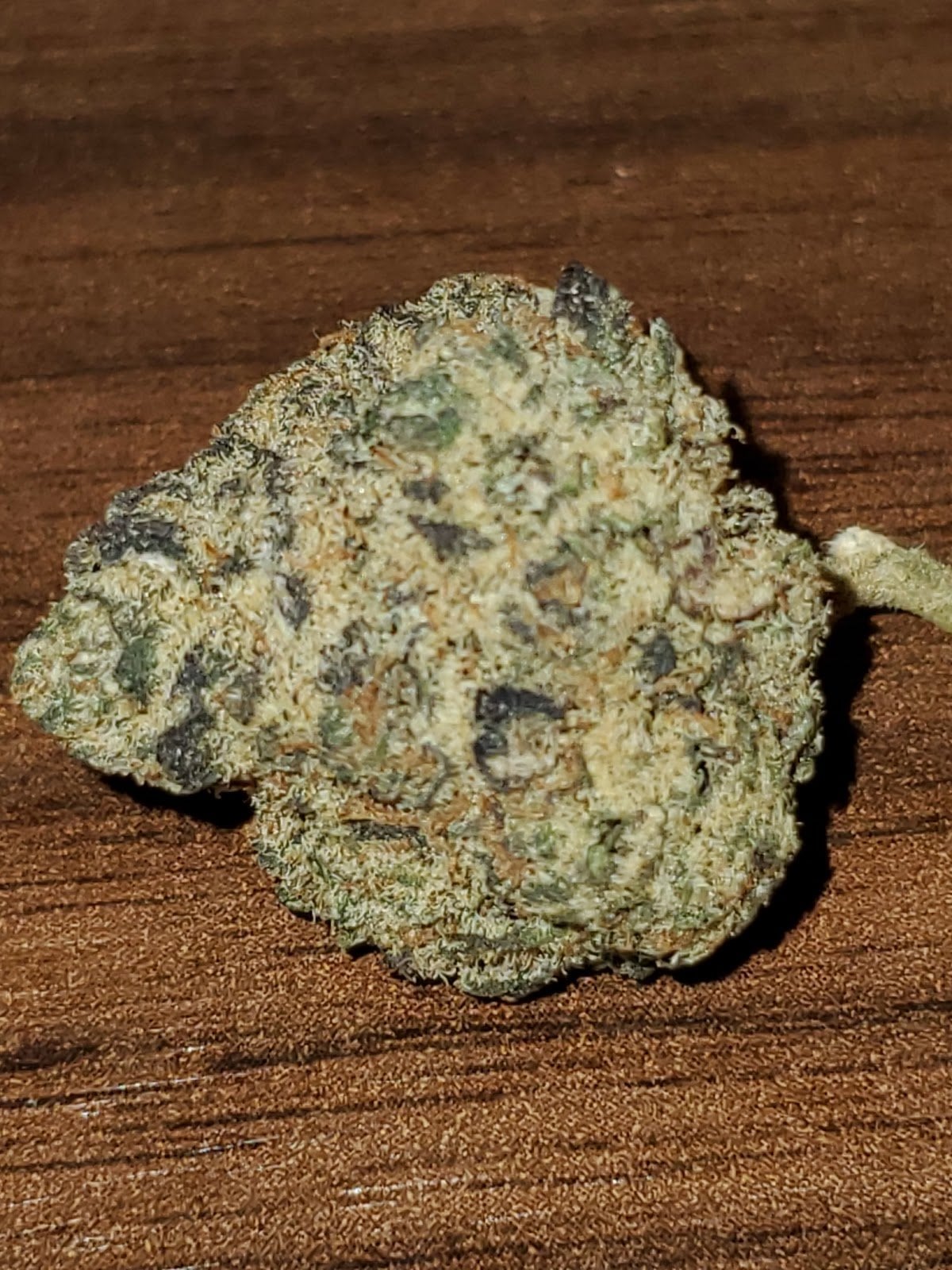 Kingdom Kannabis