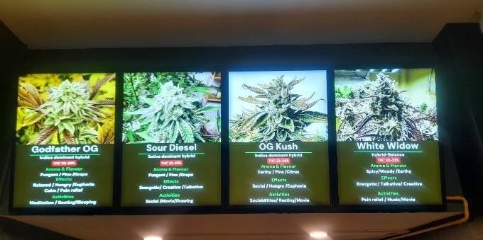 Zweed & Raw