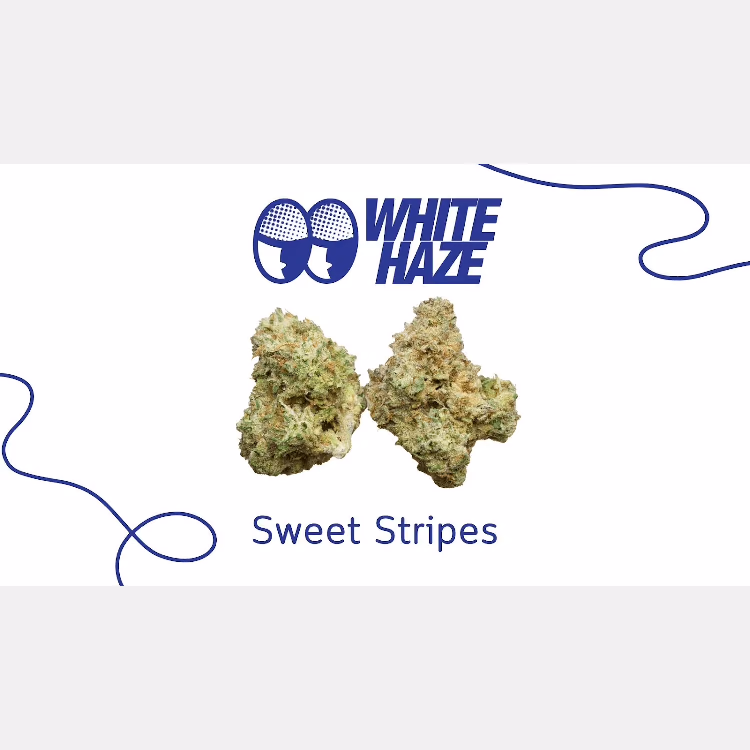 Cannabis Social Club White Haze in Ko Samui logo